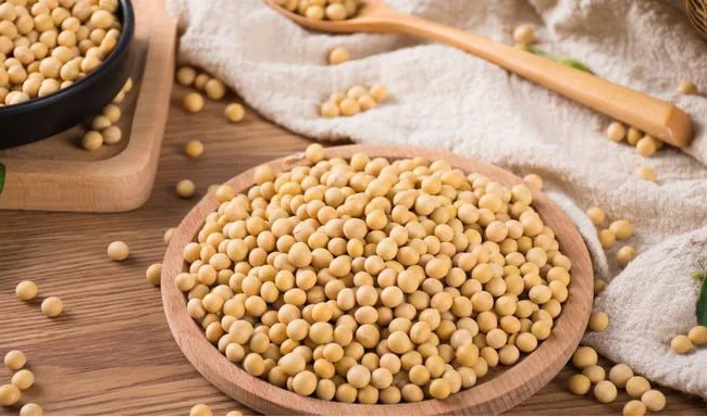 Why Should Feed Manufacturers Test Soy Anti-nutritional Factors?