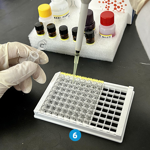 Aflatoxin B1 ELISA Rapid Test Kit - Food and feed mycotoxins, soybean ...