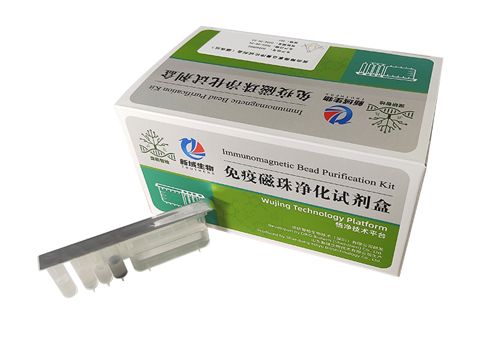 From Manual to Fully Automated: How Immunomagnetic Beads Technology is Reshaping Sample Processing Workflows