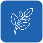 Animal Nutrition